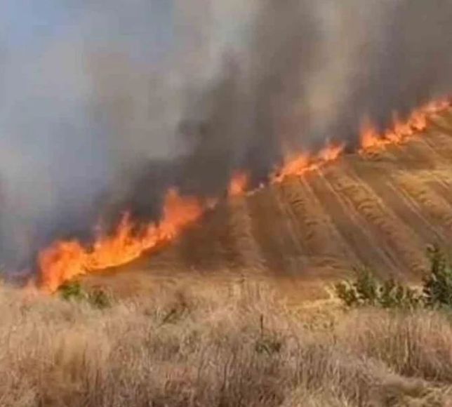 Beypazarı İlçe Jandarma Komutanlığı'ndan Anız Yangını Uyarısı