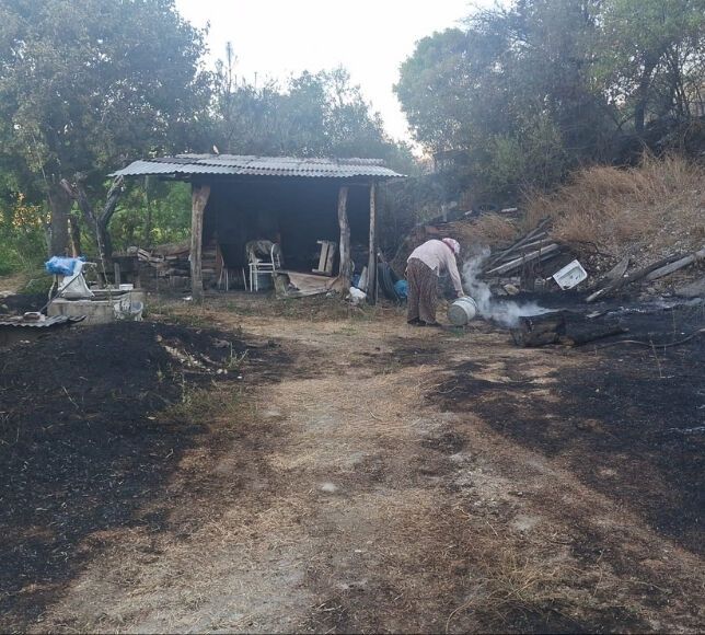 Ankara Beypazarı’nda Otluk Yangını: İki Bağ Evi Hasar Gördü