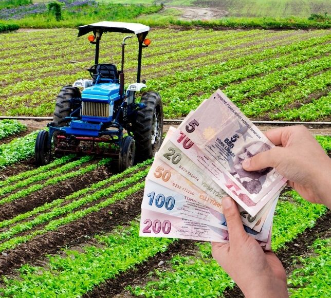 Çiftçilere 301 Milyon Liralık Tarımsal Destek Ödemesi Hesaplara Yatıyor