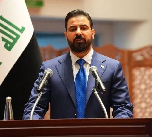 Erdoğan ile Ali ez-Zeydi Ankara'da Bir Araya Gelecek