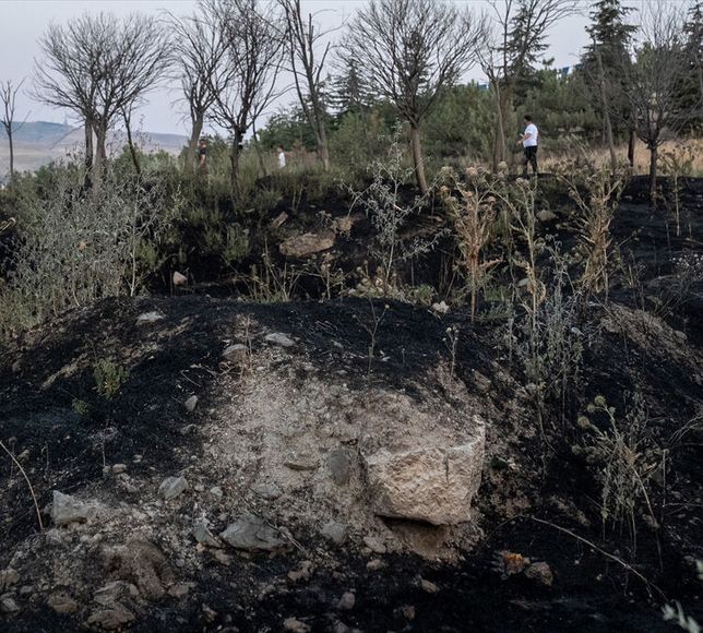 Ankara’da Yaz Aylarında Yangınlar Arttı: 2 Ayda 2 Bin 242 Otluk ve Ekili Alan Yandı
