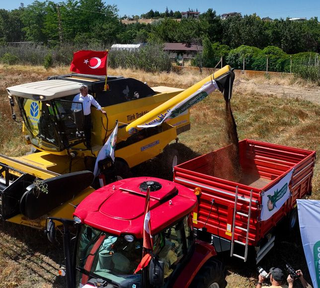 Gölbaşı Karabuğday Markası için Tescil Başlatılıyor
