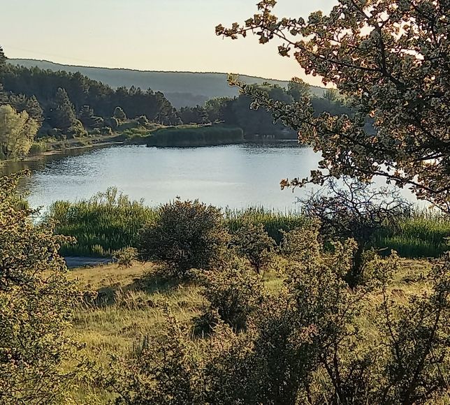 Karagöl Mesire Alanı'nda Kamp ve Karavan Konaklaması 30 Eylül'e Kadar Yasaklandı