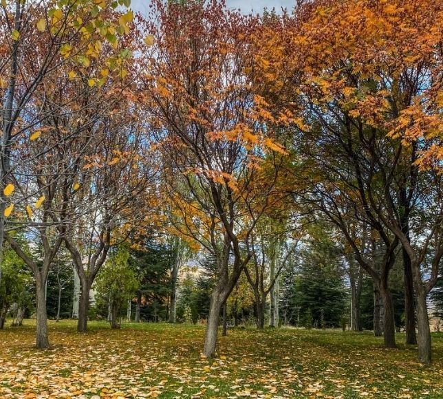 Ankara'da Sonbahar Erken Gelecek: Eylül Yağışlı Geçecek