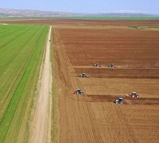 Tarım-GFE Haziran Verileri Açıklandı: Yıllık Artış Yüzde 32,06