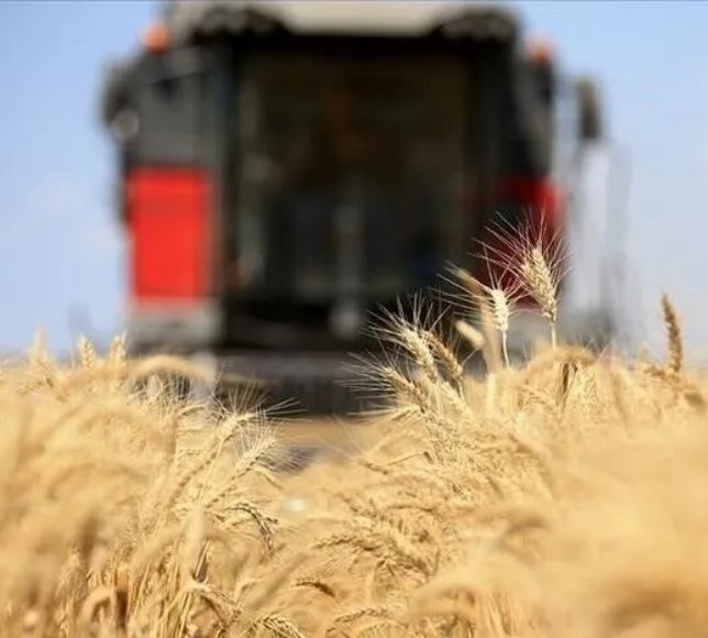 Küresel Gıda Fiyatları Temmuzda Yükselişini Sürdürdü