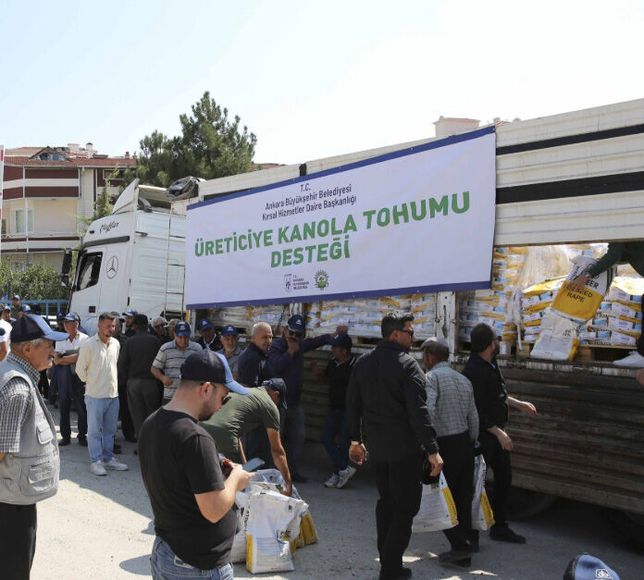 Ankara'da 3 İlçede Yüzde 50 Hibeli Kanola Tohumu Desteği: Hedef 30 Bin Dekar Ekim
