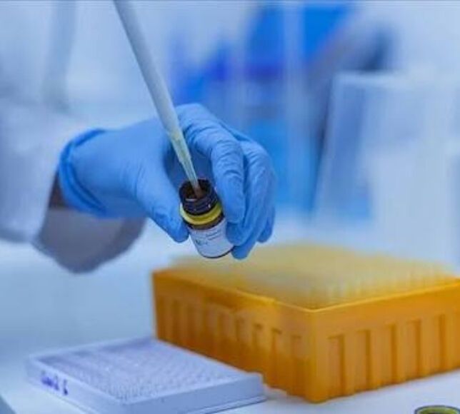 Dünya Bilim Sıralamasında 90 Türk Üniversitesi Yer Aldı