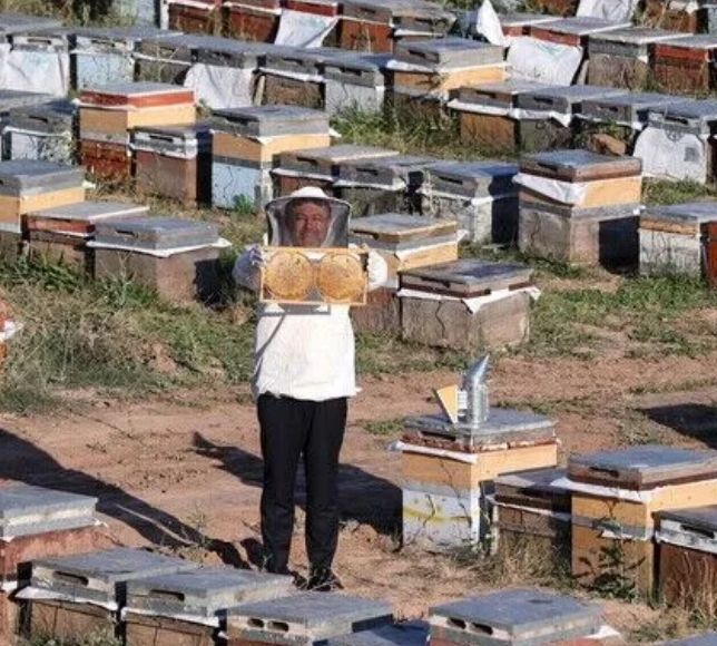 Türkiye Bal Üretiminde Dünya İkinciliğini Sürdürüyor
