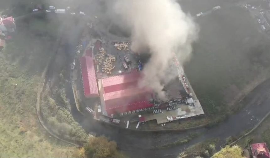 Giresun'da Balık İşleme Fabrikasında Yangın Çıktı