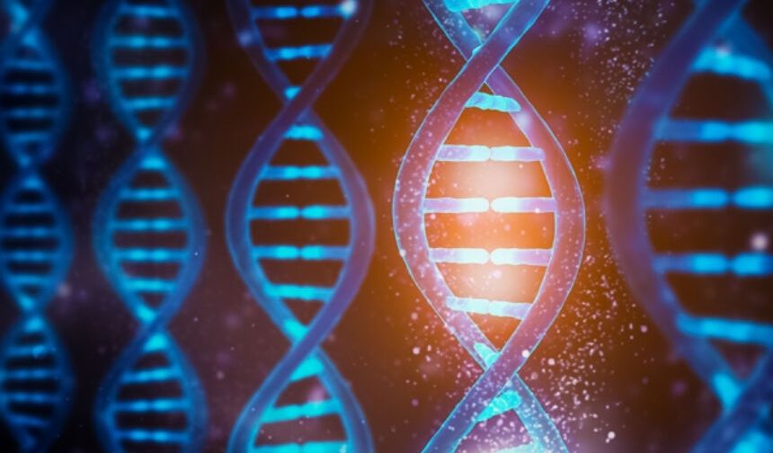 Protein Üretmeyen DNA Bölgeleri Neden "Çöp DNA" Olarak Adlandırılır?