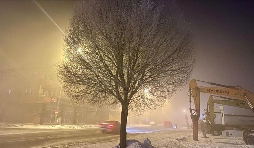 Ardahan'da Sis Etkisini Artırarak Görüş Mesafesini Azalttı