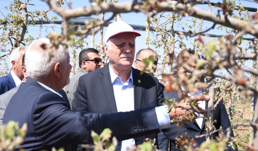 Karaman’da Zirai Don Nedeniyle Elma Kaybı Yüzde 85