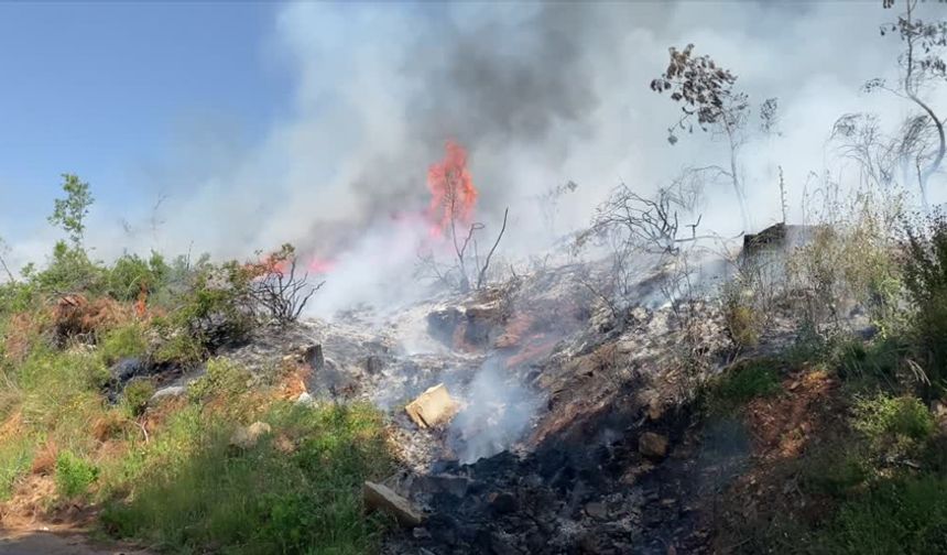 Alanya'da Makilik Alanda Bir Haftada Üçüncü Yangın