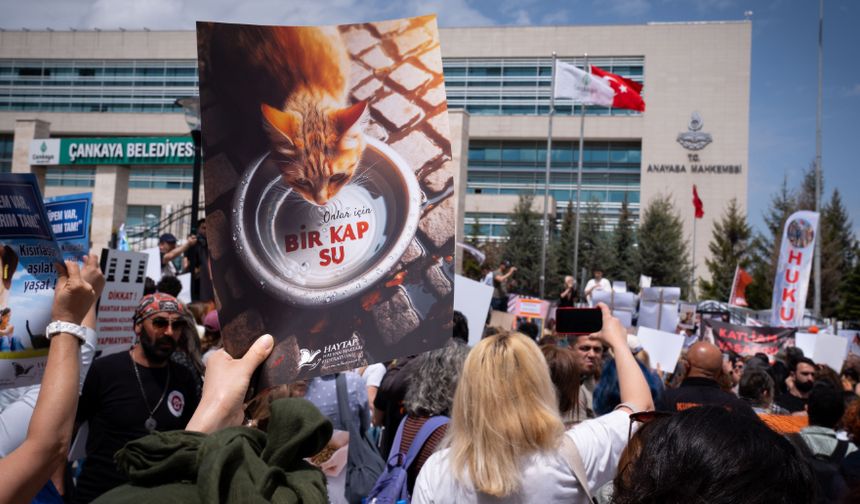 Ankara'da AYM'nin Hayvan Hakları Kararı Protesto Edildi