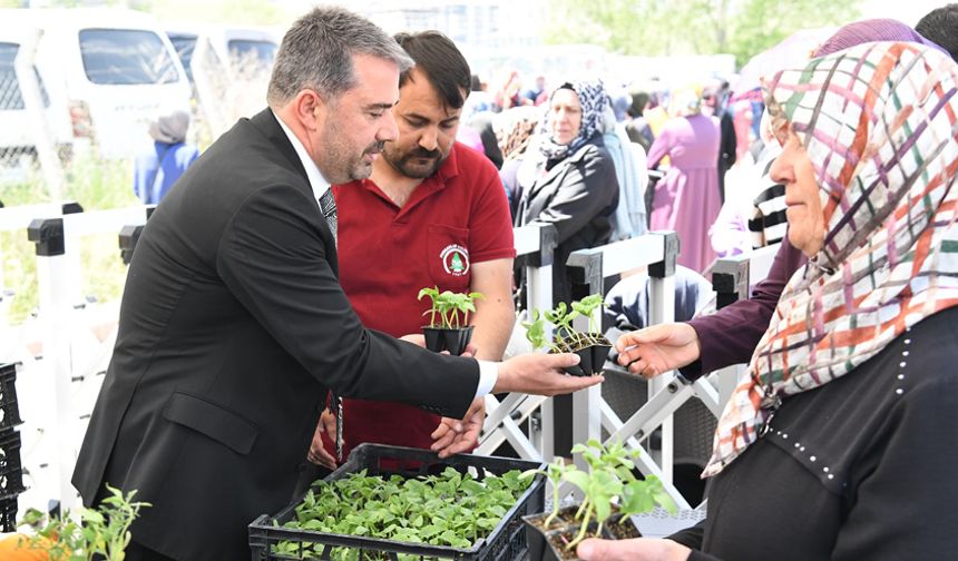Pursaklar’da Yerli Tohuma Büyük Destek