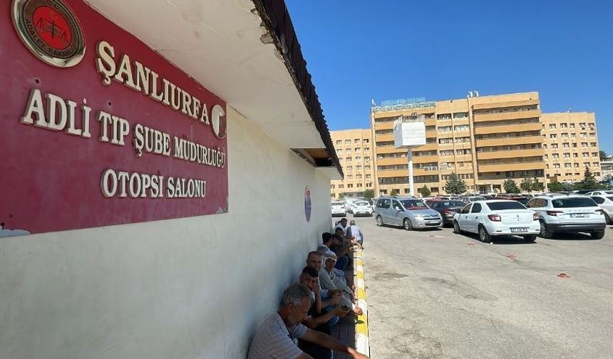 Şanlıurfa’da Otomobilin Çarptığı Çoban Hayatını Kaybetti