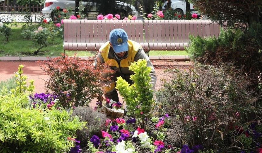 Keçiören’de Peyzaj Çalışmalarına Hız Verildi: Parklar Renkleniyor