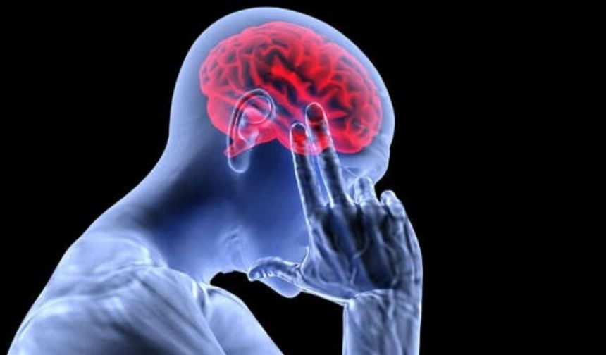 İnsan Beyni Kelimelerle mi, Yoksa Görsellerle mi Düşünüyor?