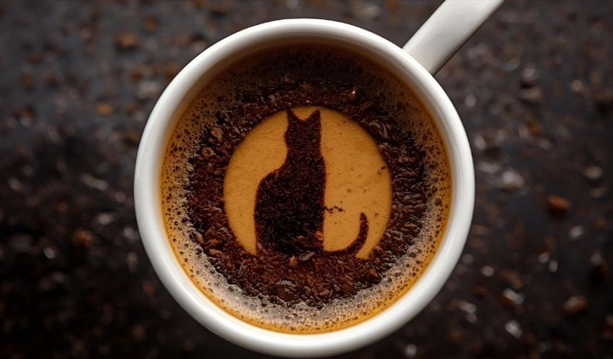 Falda Kedi, Kedi Patisi, Gözü ve Yavru Kedi Görmek Ne Anlama Gelir?