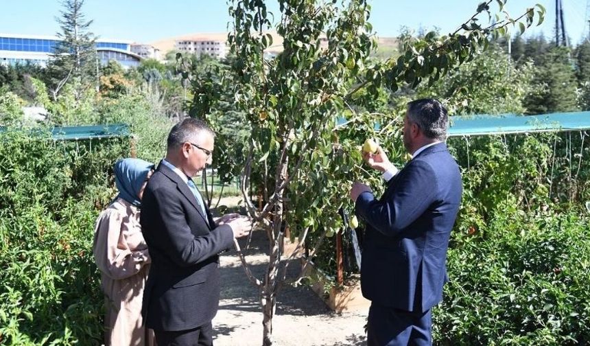 Pursaklar’da Yerli Tohum Hasadı Gerçekleştirildi
