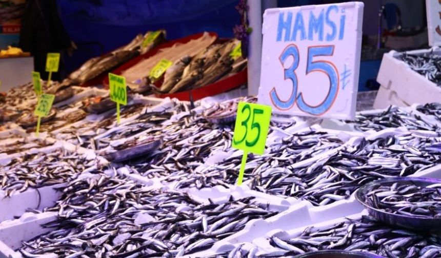 Karadeniz’de Hamsi Fiyatı Düştü: Tezgahlar Doldu