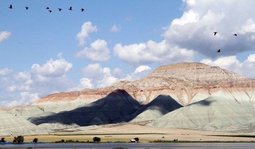 Nallıhan’ın Renkleri Objektiflerde: 8. Foto Safari’de Ödül Heyecanı