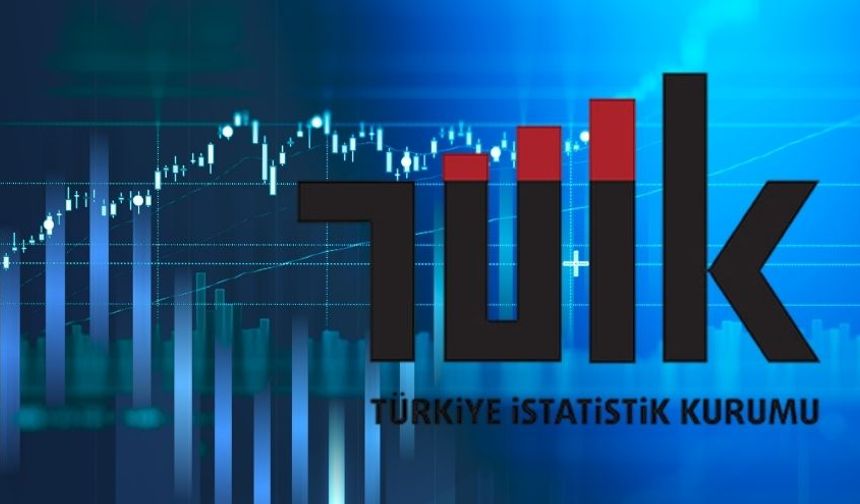 Türkiye’de İşsizlik Oranı Sabit Kaldı: TÜİK Açıkladı