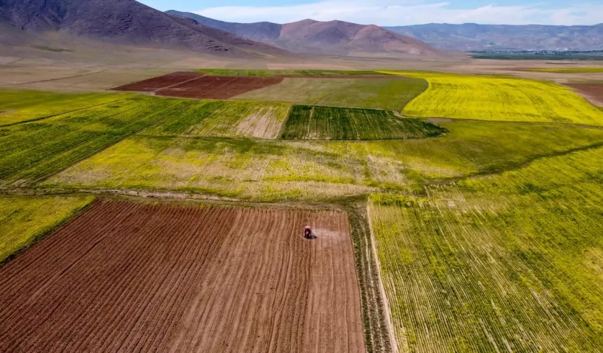 Ankara'da Dev Satış: Tarla Ve Üzerindeki Her Şey Mahkemeden Bu Rakama Satılacak