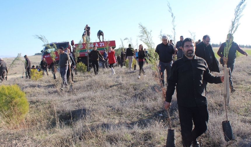 Beypazarı’nda 250 Fidan Toprakla Buluştu