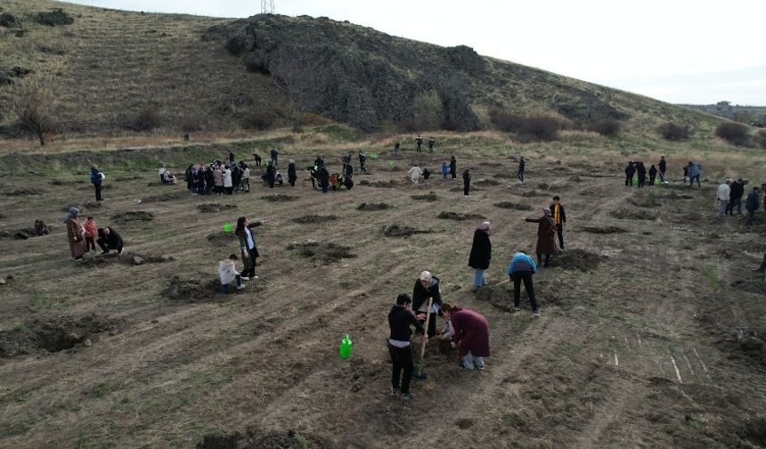Çubuk’ta Çevre Seferberliği: Öğrenciler Vadide Fidan Dikti