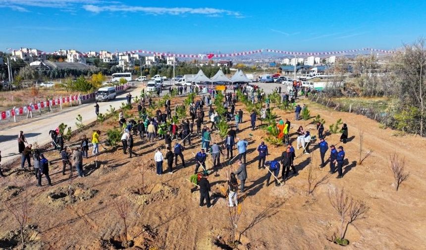 Gölbaşı’nda Ağaçlandırma Etkinliği: 1000 Fidan Dikildi