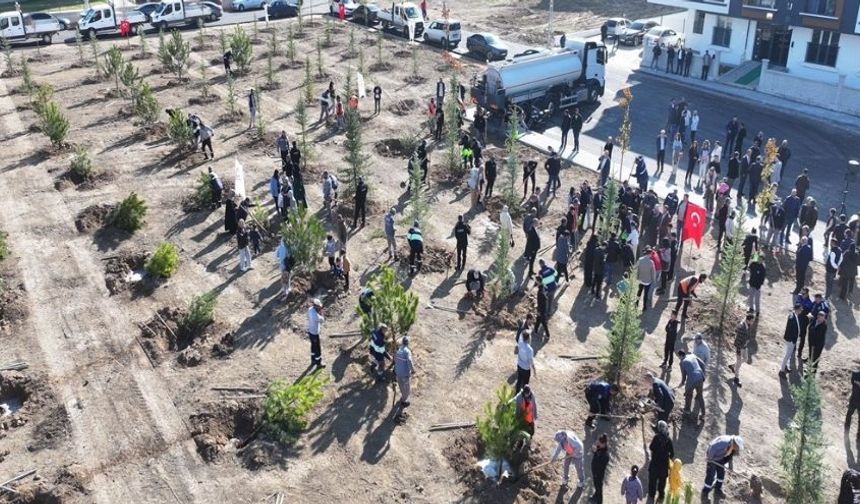 Sincan’da Milli Ağaçlandırma Günü Kapsamında 244 Fidan Dikildi