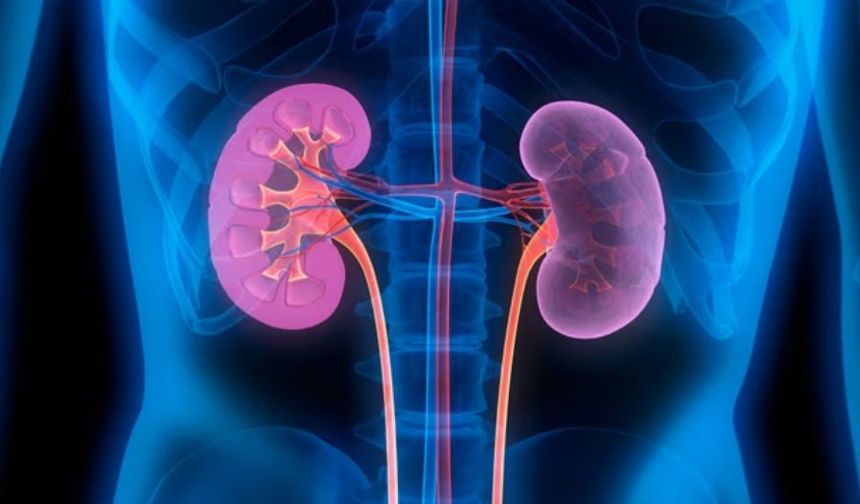 Alport Sendromu Nedir? Nedenleri, Belirtileri ve Tedavisi