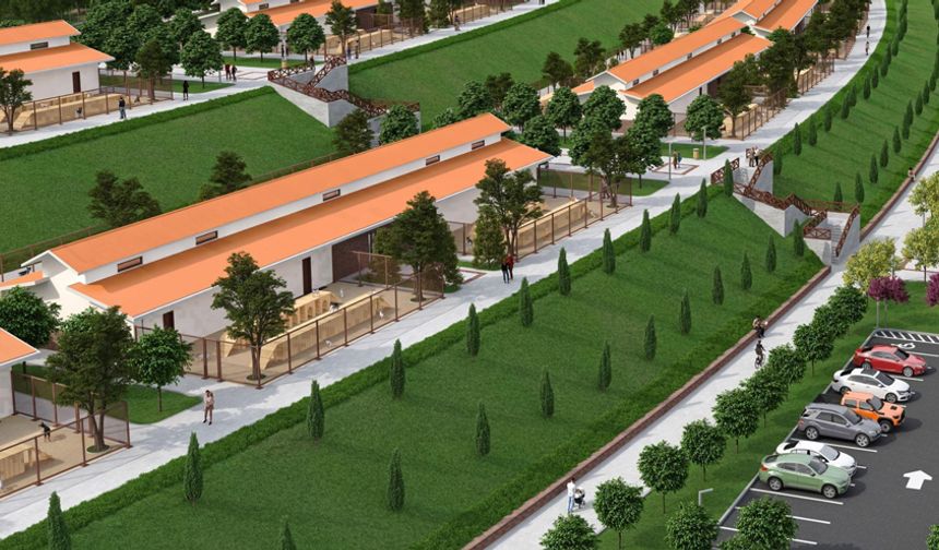 Altındağ’da Sokak Hayvanları Merkezi Yükseliyor: Proje Hızla İlerliyor