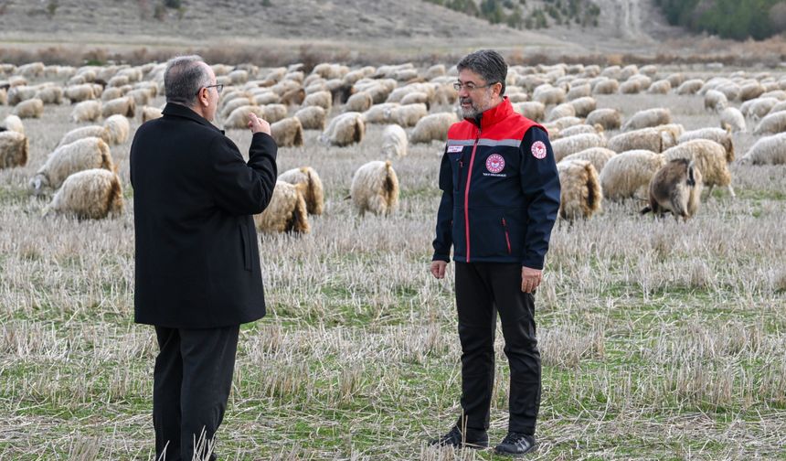 Ankara’da Tiftik Üretimi Öne Çıkacak: Sözleşmeli Destek Başlıyor