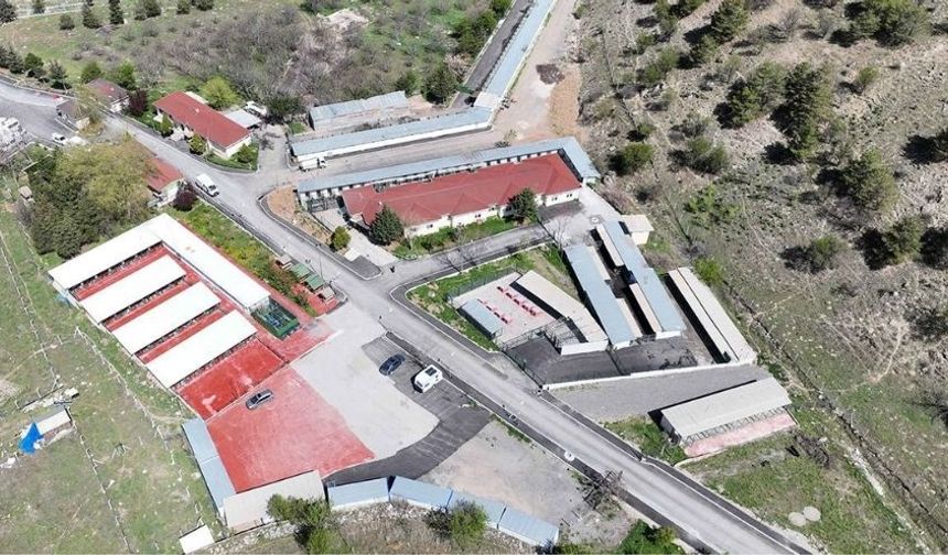 Çankaya’da Barınak Kapasitesi 1.500’e Çıktı: 3. Etap Çalışmaları Bitti