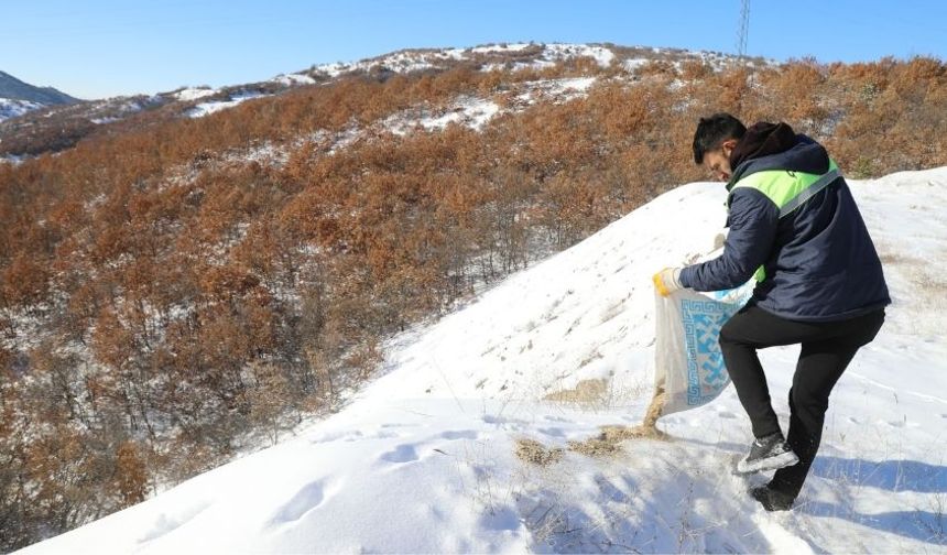 Çubuk’ta Yaban Hayvanlarına Yardım Eli: Doğaya Yem Bırakıldı