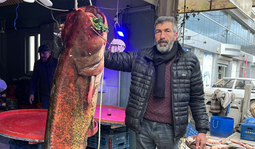 Nallıhan Çayırhan Gölü’nde Dev Av: Ağlara Takılan Balık Şaşırttı
