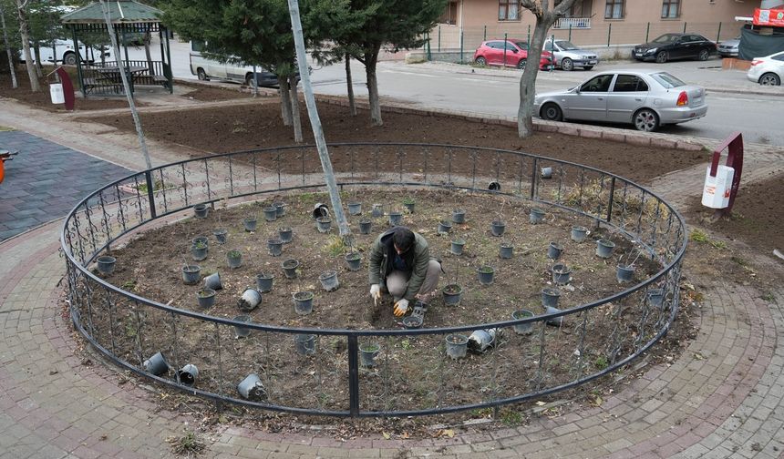 Keçiören Belediyesi’nden Park ve Bahçelere Kapsamlı Bakım