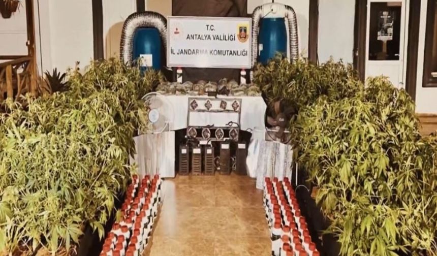 Türkiye Genelinde Narkotik Operasyonu: 177 Şüpheli Tutuklandı