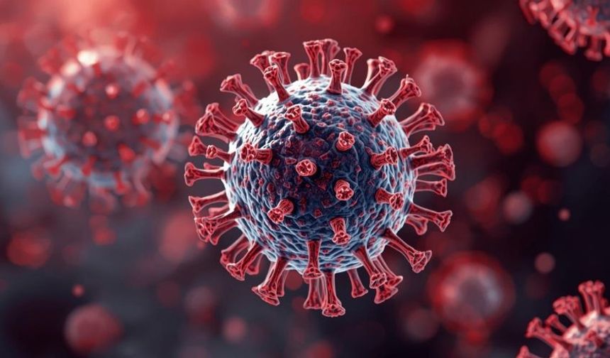 3 Günlük Açlık Bağışıklığı Sıfırlayabilir mi?