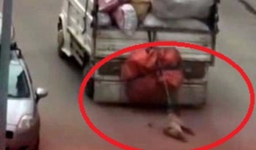 Ankara'da Kamyonete Bağladığı Köpeğe İşkence Eden Sürücüye Gözaltı
