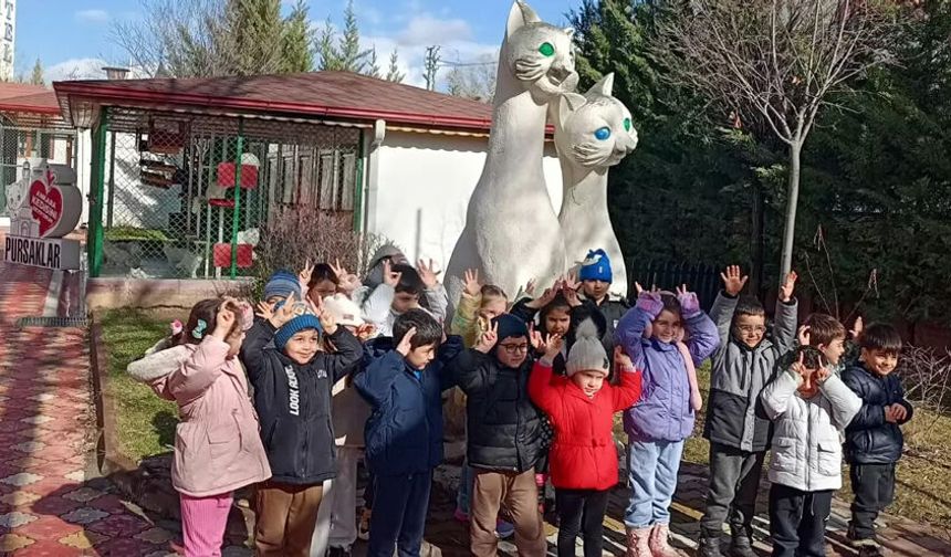 Pursaklar’da Sevgi Dolu Buluşma, Minik Öğrenciler Ankara Kedisi ile Tanıştı