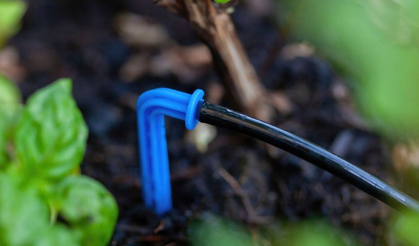 Kalecikli Üreticiye Yüzde 50 Hibeli Damla Sulama Borusu Desteği