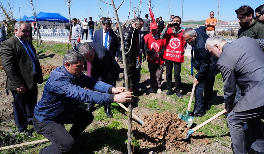 AYBÜ Kampüsüne "Bal Ormanı" Oluşturuluyor, 2 Bin Fidan Toprakla Buluştu