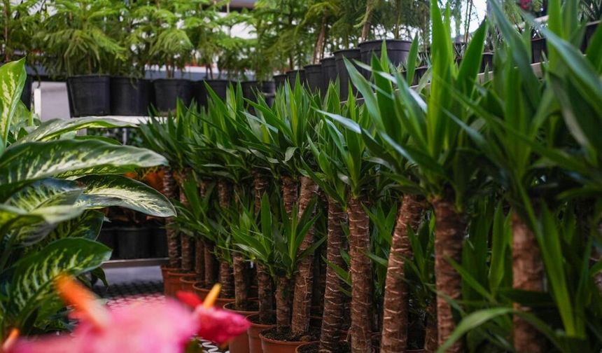 Etimesgut'un 'Çiçek Hastanesi'nde Bahar Güncellemesi