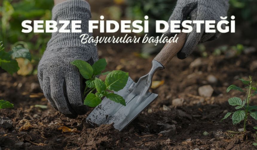 Kalecik’te Sebze Fidesi Desteği Başvuruları Başladı