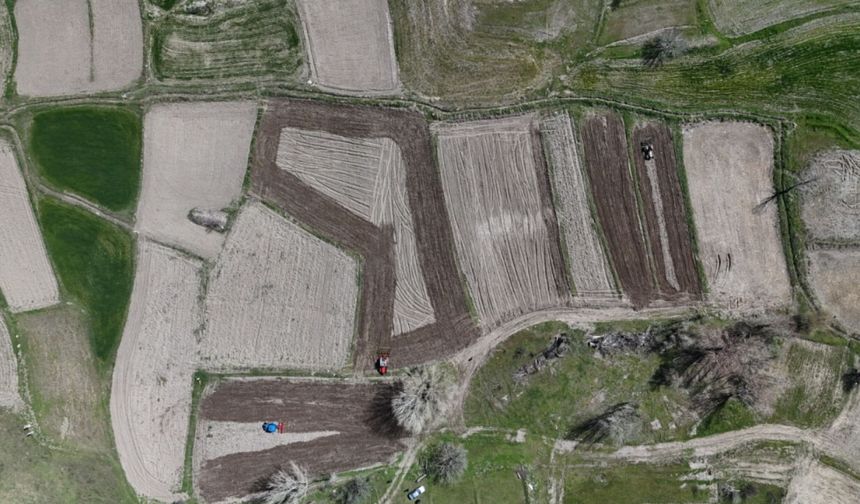 Kızılcahamam’da 40 Yıllık Özlem Bitti, Pirinç Geri Döndü