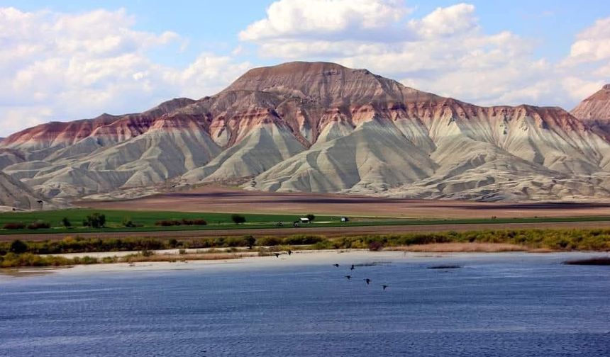 Nallıhan Kuş Cenneti Göçmen Kuşları Ağırlamaya Başladı
